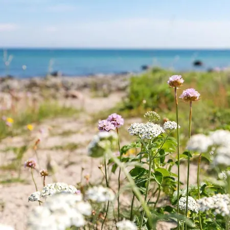 Enne - 100m From The Sea In Bornholm *